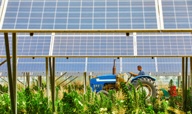 off-grid solar energy systems for agriculture
